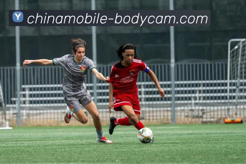 emc易倍平台生态图